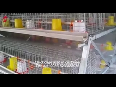 Hot Galvanized Pullet Otomatis Baby Chick Brooder Cage 192 Burung 1,2m Panjang Mia
