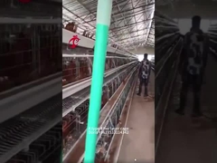 Kandang Baterai Ayam A Atau H Tipe 3 Atau 4 Tingkat Untuk Peternakan Ayam Unggas Doris