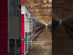 Proyek kunci otomatis sistem kandang baterai unggas 3 Tiers 450cm2 Star