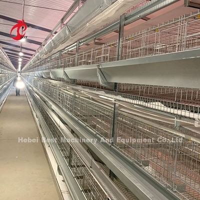 Hot Dip Galvanized Sistem Kandang Unggas Lapisan Putih Peternakan Bird Housing Adela