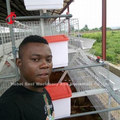 Sistem Kandang Lapisan Ketahanan Tinggi Baja Karbon Rendah Galvanis Panas Di Afrika Adela