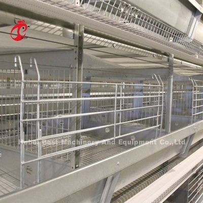 Ayam 12 Sel Lapisan Baterai Kandang Sistem 4 Tier Untuk Peternakan Adela