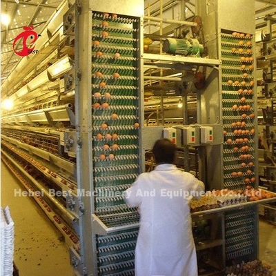 Sistem Kandang Baterai A H Tipe Full Otomatis A ayam Dengan Umur 25 Tahun Bintang