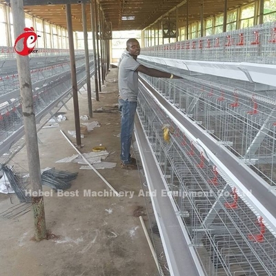 Layer Farming Menggunakan 2 Tier Battery Cage Rumah Unggas Hot Dip Galvanized Sandy