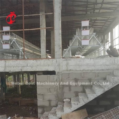 Sistem Kandang Baterai Unggas 3,5mm 3 Tingkatan 4 Tingkat Umur 20 Tahun Di Nigeria Ada
