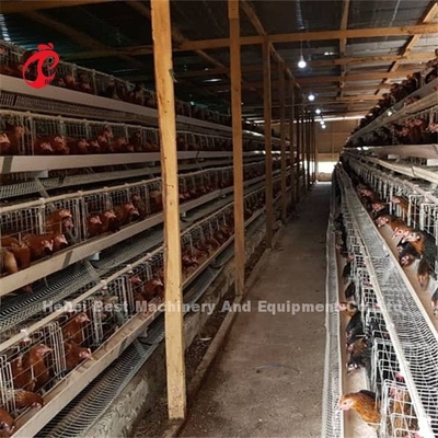 Sistem kandang baterai untuk ayam yang bertelur