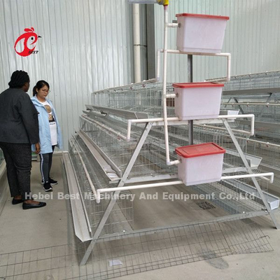 Tipe A Ayam 128 burung Ayam Ayam Sistem Kandang Baterai Hot Dip Galvanized Untuk Nigeria Farm Doris