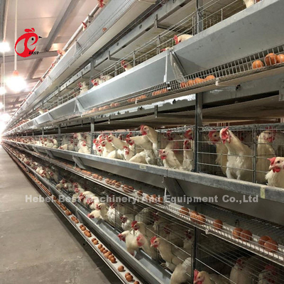 Sistem Kandang Baterai Lapisan Ayam Tipe 120 Galvanis Multilayer Doris