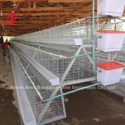 500 Hingga 30000 Sistem Kandang Baterai Lapisan Burung Untuk Bintang Peternakan Unggas