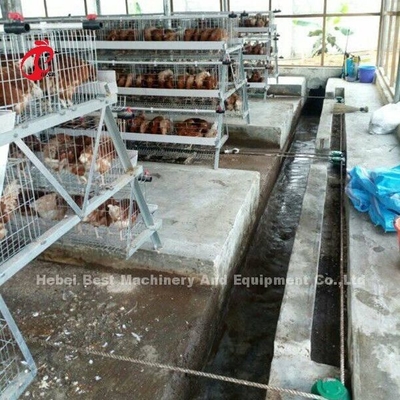 Mesin Pengikis Kotoran Unggas Tiga Fase Otomatis Hapus Limbah Ayam Sandy