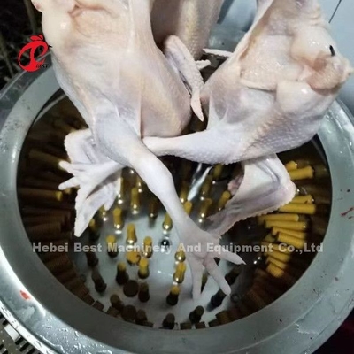 Peternakan Unggas Rumah Potong Hewan 1100w Mesin Pencabut Bulu Ayam Di Nigeria Doris