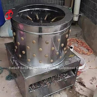 Peternakan Unggas Rumah Potong Hewan 1100w Mesin Pencabut Bulu Ayam Di Nigeria Doris