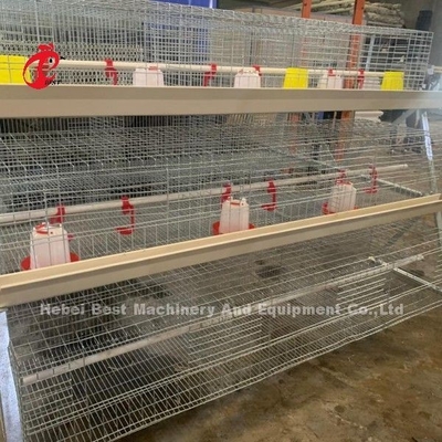 Q235 A Tipe 3 Tingkatan Pullet Ayam Kandang Perak Galvanis Adela