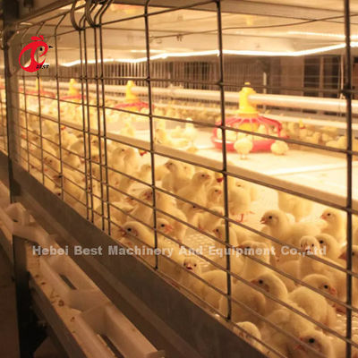Sistem Kandang Baterai Ayam Broiler Otomatis Peternakan Unggas Naik