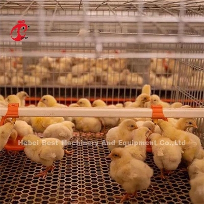 Kandang Ayam Brooder Ayam Hightop Anak Ayam Unggas Ada