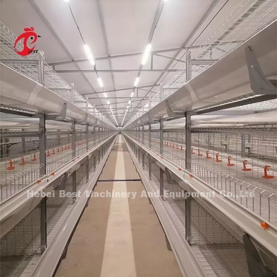 Sebuah Jenis Broiler Chicken Cage Dan Peternakan Rumah Unggas Bangunan Desain Mia