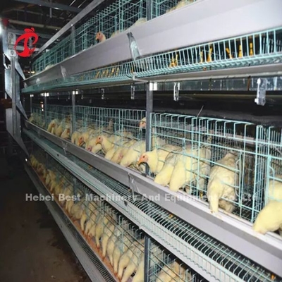 Sistem Kandang Baterai Unggas Cerdas Semi Otomatis Dan Otomatis Untuk Ayam Broiler Iris