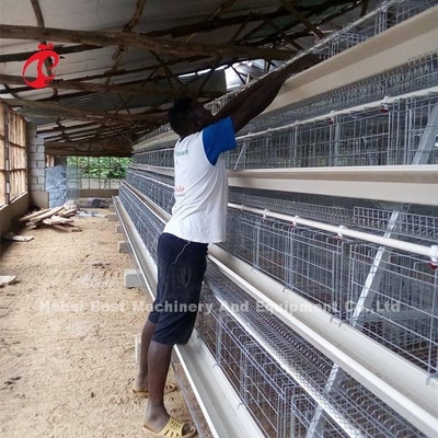 Sistem Kandang Baterai 3 Tingkat Peternakan Ayam Di Sandy Unggas