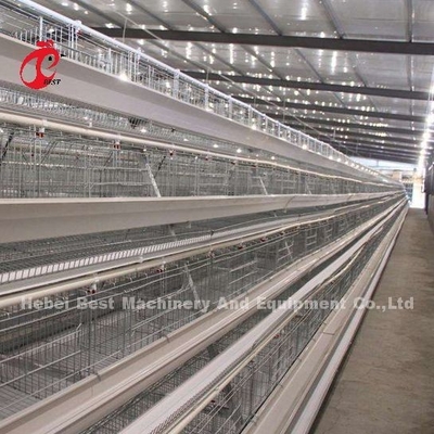 Kawah Baterai Kawat Baja Rostless Untuk Ayam 432cm2 Area Burung Adela