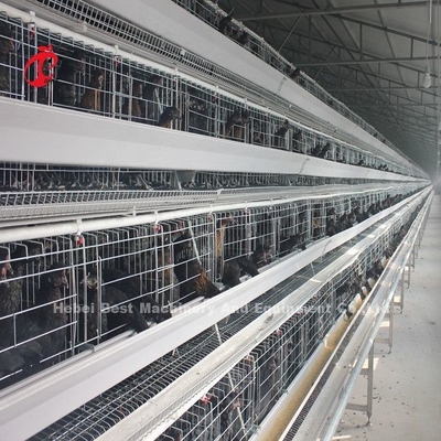 4 Tiers Chicken Cage Peralatan otomatis penuh Solusi yang disesuaikan tersedia Adela