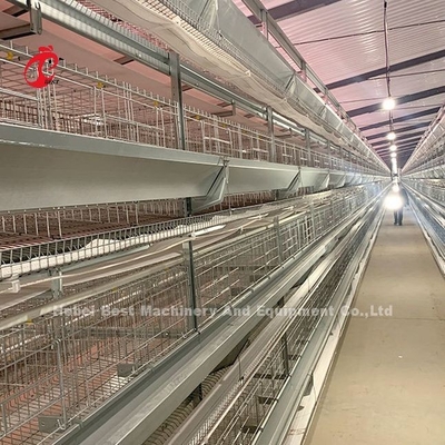 Kawah Baterai Kawat Baja Rostless Untuk Ayam 432cm2 Area Burung Adela