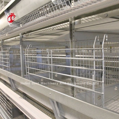 2.2m Lapisan Sistem kandang baterai Untuk kapasitas 120-200 ayam Adela