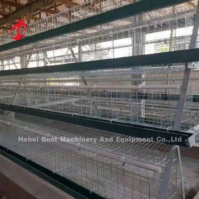 Sistem Kandang Peternakan Ayam Jenis Galvanis Umur 20 Tahun Doris