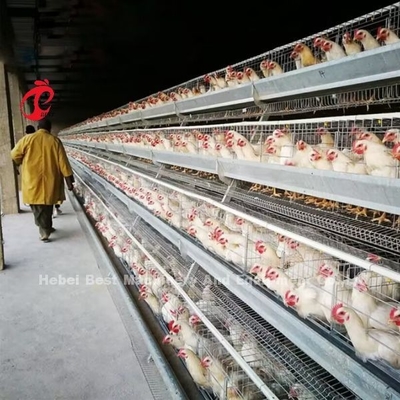 110kg Galvanis Baja Otomatis Ayam Lapisan Kandang Baterai Lapisan Kandang Doris