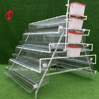 Paling laris Tipe 4 Tiers Hot Galvanized Otomatis Ayam Baterai Kandang Untuk Dijual Adela