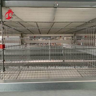 4 Tiers Chicken Cage Peralatan otomatis penuh Solusi yang disesuaikan tersedia Adela