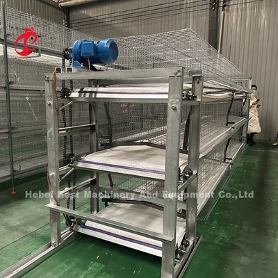 Hot Dip Galvanized Sistem Kandang Unggas Lapisan Putih Peternakan Bird Housing Adela
