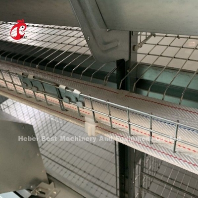 Peralatan Kandang Ayam Otomatis H Frame 4 Tier Raising Lapisan Kandang Untuk 50.000 Farm Doris Shi