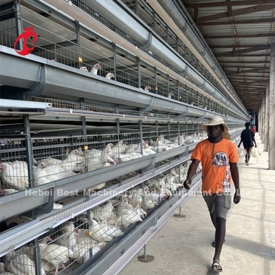 H Tipe Full Hot Dip Galvanized Otomatis Chicken Cage Peralatan Untuk Peternakan Ayam Sandy