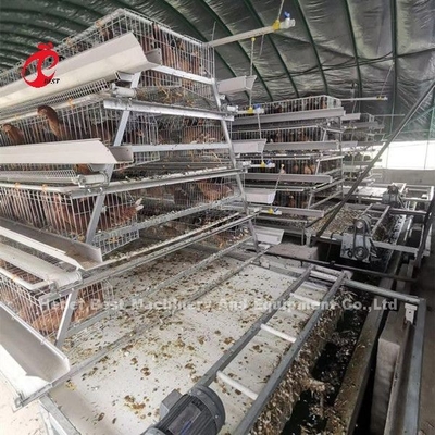 Pengikis Kotoran Otomatis Dan Tipe Belt Didesain Untuk Peternakan Ayam Sandy
