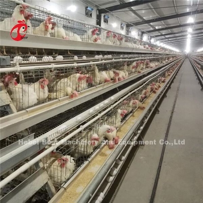 Sistem Kandang Lapisan Unggas Kontrol Listrik Otomatis 4 Tier Farm Design Ada