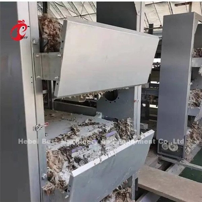 380V Mesin Pengikis Peternakan Ayam Unggas Dan Sabuk Mesin Penghilang Kotoran Otomatis Ada