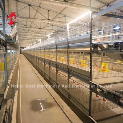 Praktis 380V Chick Brooder Cage Untuk Hari Lama Lapisan Petani Anak ayam di Afrika Farm Iris