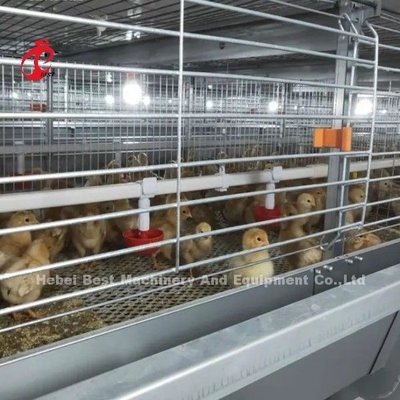 BEST Galvanized Otomatis H Tipe Chicken Farm Broiler Kandang Sistem Adela