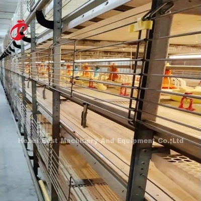 BEST Galvanized Otomatis H Tipe Chicken Farm Broiler Kandang Sistem Adela
