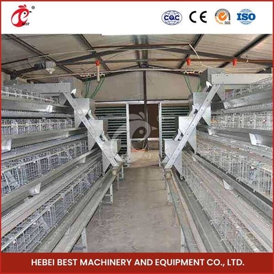 Kustomisasi 120 Burung Otomatis Sistem Kandang Induk Unggas Untuk Anak Ayam Pullet Sandy