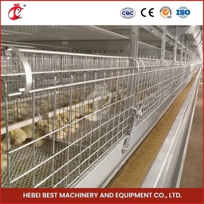 Umur Panjang Kandang Unggas Modern Otomatis Kandang Pullet Ayam Tipe H Berkapasitas Tinggi Adela
