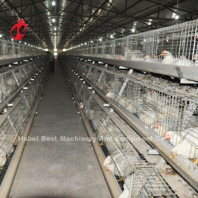 Stabil A atau H jenis sistem kandang broiler daging sepenuhnya otomatis kandang ayam Doris Shi