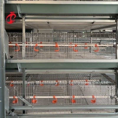 Hot Dipped Galvanized 4tiers Chicken Brooder Cages System Full Automated Doris Shi