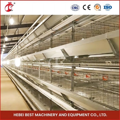 Galvanized Chick Baby Breeding Cages Untuk Ayam Menampung Hingga 120 Anak ayam Kapasitas Sandy