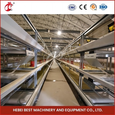 Kandang Ayam Broiler Otomatis Presisi Tinggi H Type Unggas Broiler Cage Rose