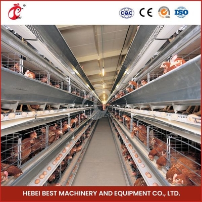 Hot Galvanized 20 Tahun Umur Penuh Automatic Feeding Manure Pembersihan Dan Sistem Pengumpulan Telur Kandang Jual Adela