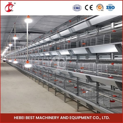 H Type Layer Dan Broiler Automatic Battery Peralatan Kandang Ayam Desain Rumah Ada