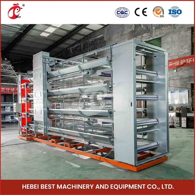Turnkey Project H Type Automated Layer Cages Equipment Untuk 50000 Birds Farm Star