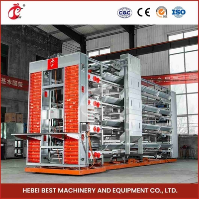 Turnkey Project H Type Automated Layer Cages Equipment Untuk 50000 Birds Farm Star