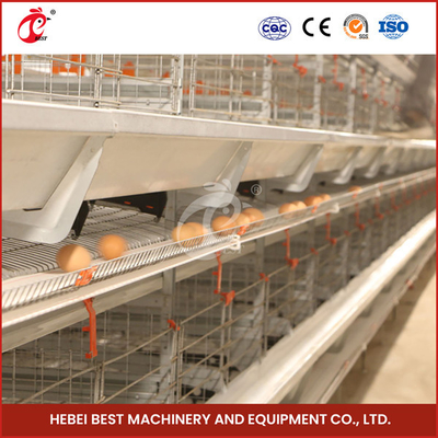 432cm2 Area Bird Chick Brooder Cage Dengan 6 Tiers Dan Rose awet